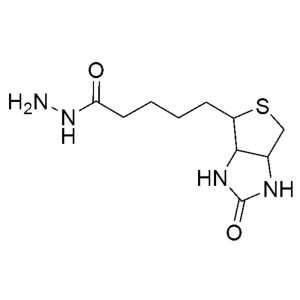 Biotin Hydrazide