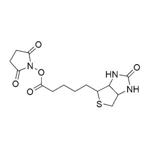 NHS-Biotin
